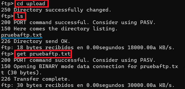imagenP4_2:descarga del archivo